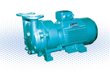  SKA(2BV)系列水環真空泵及壓縮機